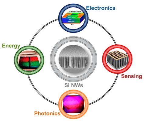 Silicon Nanowires: Fabrication and Applications 